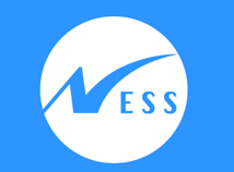 Ness Technologies Logo